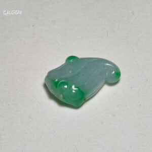 糯種陽綠飄花蓮藕