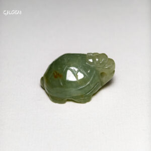 糯種豆綠烏龜