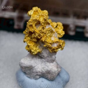 自然金 A01 native gold 中國山東蓬萊齊家河