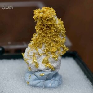 自然金 A02 native gold 中國山東蓬萊齊家河