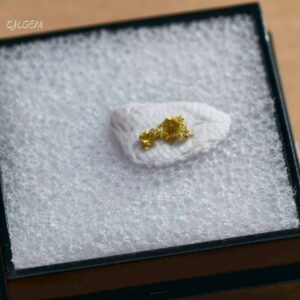 自然金 B11 native gold 中國甘肅康縣三河壩