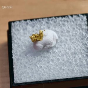 自然金 B12 native gold 中國甘肅康縣三河壩