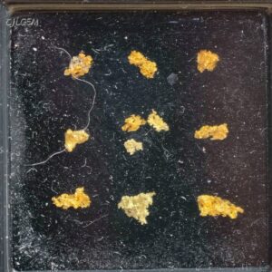 自然金 11入 B14 native gold 中國甘肅康縣三河壩