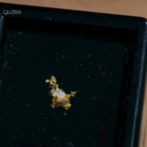 自然金 B17 native gold 中國甘肅康縣三河壩
