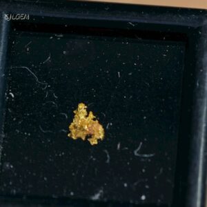 自然金 B18 native gold 中國甘肅康縣三河壩