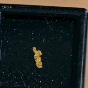 自然金 B19 native gold 中國甘肅康縣三河壩