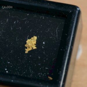 自然金 B20 native gold 中國甘肅康縣三河壩
