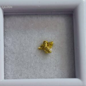 自然金 B22 native gold 中國甘肅康縣三河壩