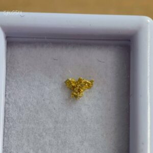 自然金 B23 native gold 中國甘肅康縣三河壩