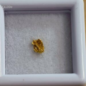 自然金 B24 native gold 中國甘肅康縣三河壩