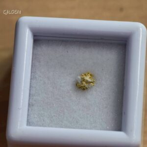 自然金 B26 native gold 中國甘肅康縣三河壩