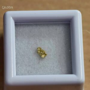 自然金 B27 native gold 中國甘肅康縣三河壩
