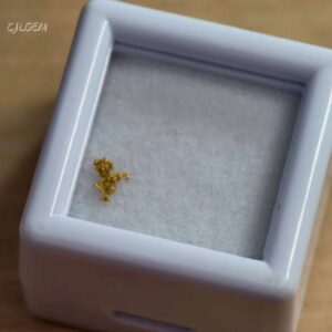自然金 B29 native gold 中國甘肅康縣三河壩
