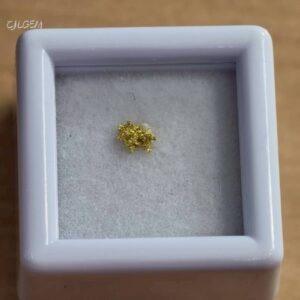 自然金 B31 native gold 中國甘肅康縣三河壩