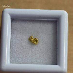自然金 B32 native gold 中國甘肅康縣三河壩