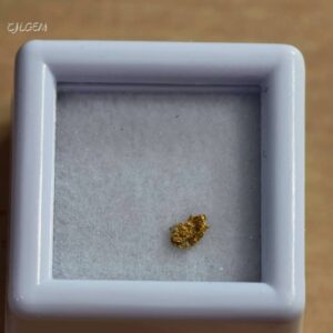 自然金 B33 native gold 中國甘肅康縣三河壩