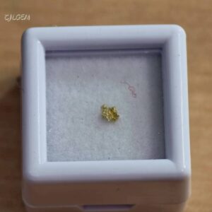 自然金 B38 native gold 中國甘肅康縣三河壩