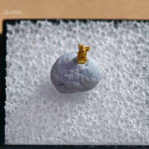 自然金 C08 native gold 中國陝西漢中郭鎮