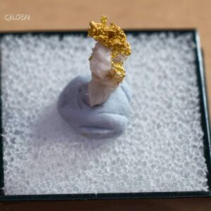 自然金 C10 native gold 中國陝西漢中郭鎮
