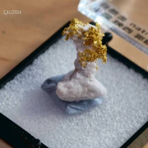 自然金 C27 native gold 中國陝西漢中郭鎮