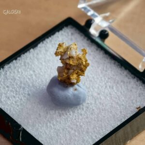 自然金 C28 native gold 中國陝西漢中郭鎮