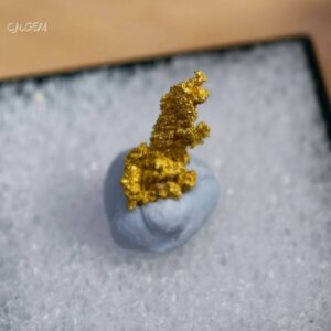 自然金 D06 native gold 中國山東招遠